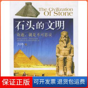 保正版 谢伟广西师范大学出版 石头 奇迹就是不可思议 社9787563358182 文明