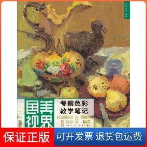 【保正版】国美视界（色彩教学笔记）张森 张勇中国青年出版社9787500694625