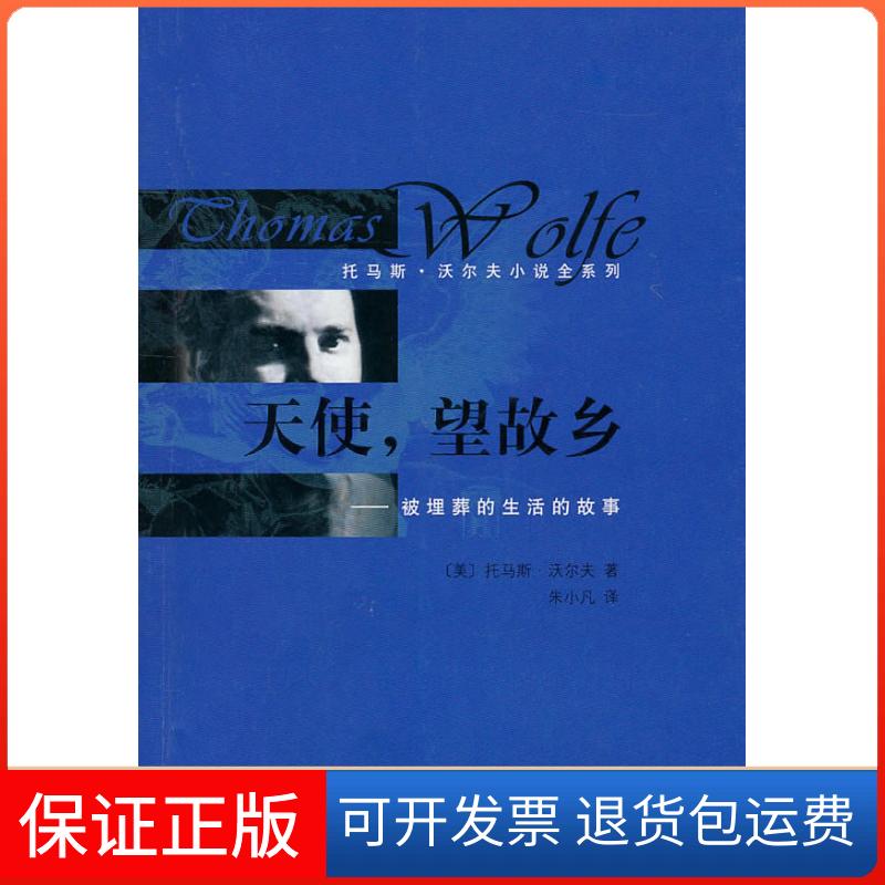 【保正版】天使,望故乡:被埋葬的生活的故事沃尔夫人民文学出版社9787020078806