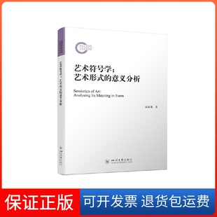 【保正版】艺术符号学:艺术形式的意义分析赵毅衡著四川大学出版社9787569057959