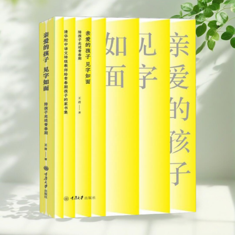 亲爱的孩子见字如面王君