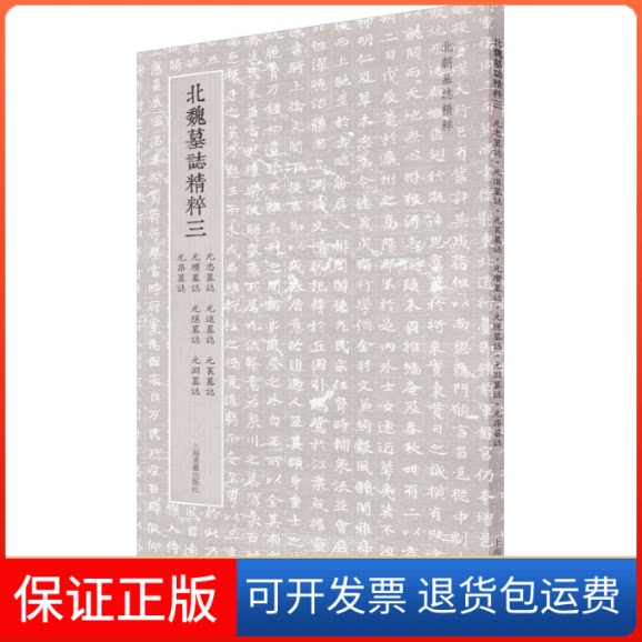 【保正版】北魏墓志精粹3 元忠墓志 元进墓志 元苌墓志 元瓉墓志 元隐墓志 元渊墓志 元昂墓志上海书画出版社上海书画出版社