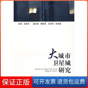 【保正版】大城市卫星城研究王圣学社会科学文献出版社9787509705193