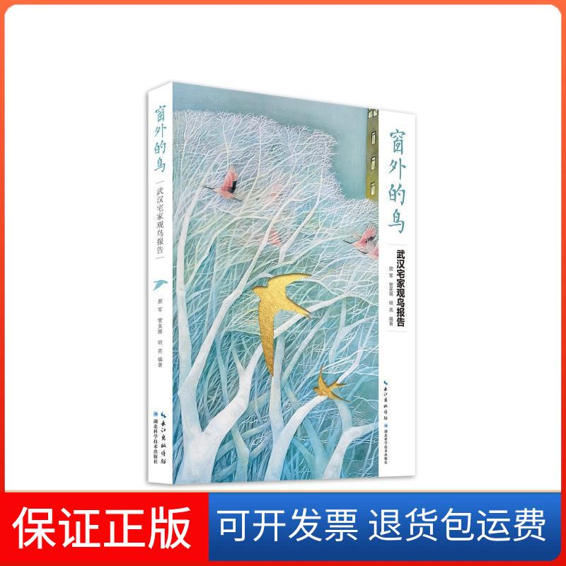 【保正版】窗外的鸟:武汉宅家观鸟报告颜军,管芙蓉,明亮湖北科学技术出版社9787570612765