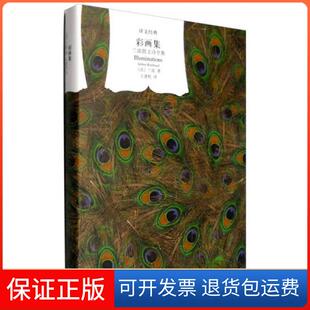 【保正版】彩画集兰波散文诗全集译文经典(精)[法]兰波  著；王道乾  译上海译文出版社9787532757664