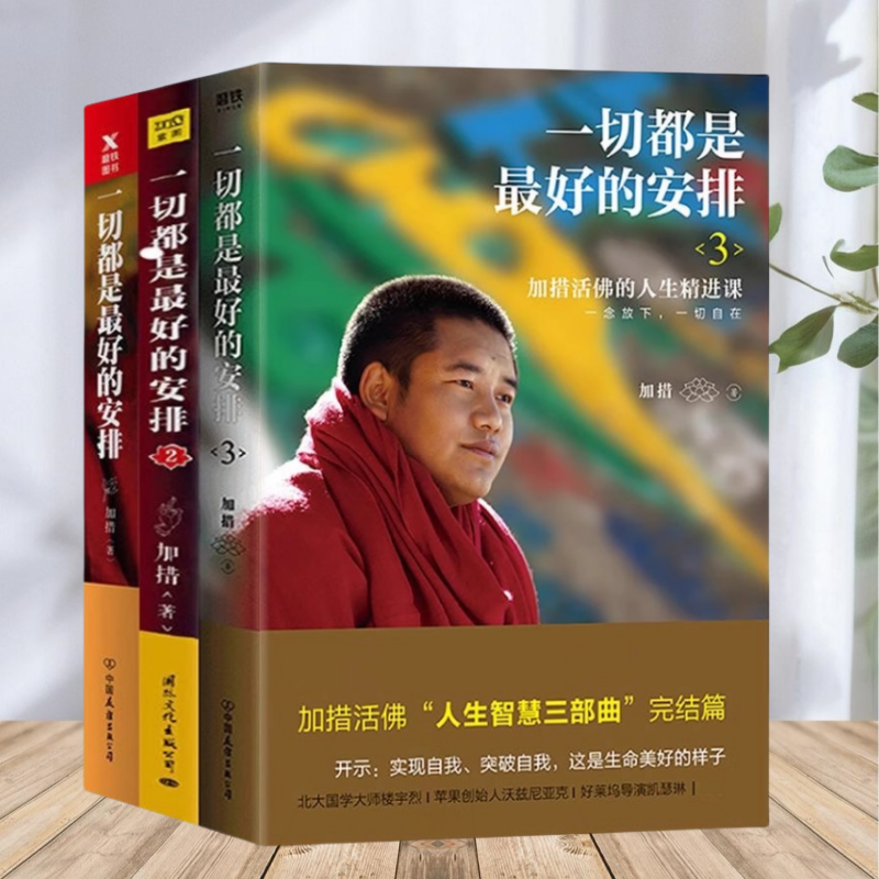 正版书】一切都是最好的安排 全三册 加措 人生智慧三部曲 把生命的无常变成奇迹