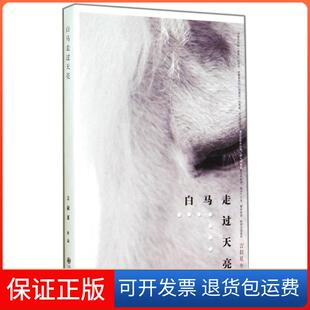 【保正版】白马走过天亮言叔夏九州出版社9787510831256