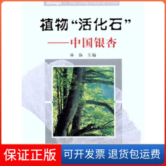 【保正版】植物“活化石”——中国银杏林协 主编浙江科学技术出版社9787534140167