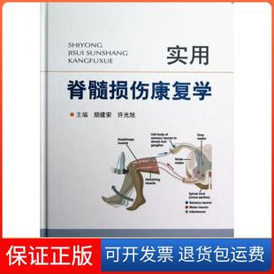 【保正版】实用脊髓损伤康复学(精)励建安//许光旭人民军医9787509162101
