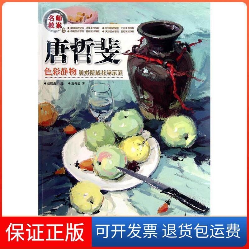 【保正版】名师教案美术院校教学示范唐哲斐色彩静物唐哲斐湖南美术出版社9787535647917