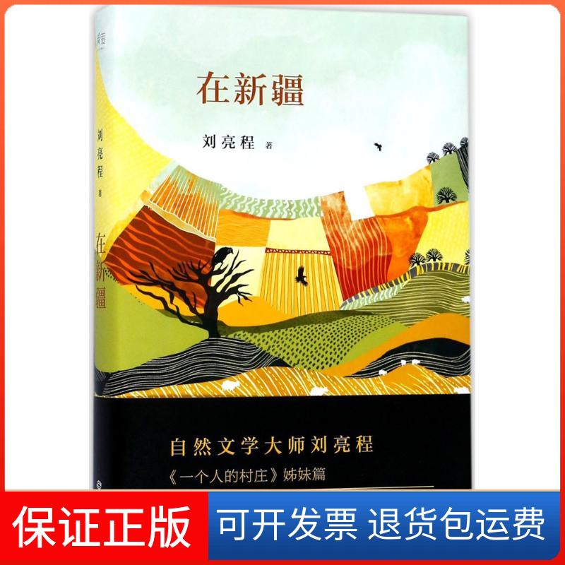 【保正版】在新疆刘亮程江西人民出版社9787210096115