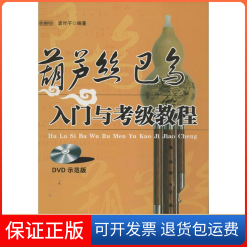 【保正版】葫芦丝巴乌入门与考级教程(DVD版)程,袁叶子 著作湖南文艺出版社9787540463953