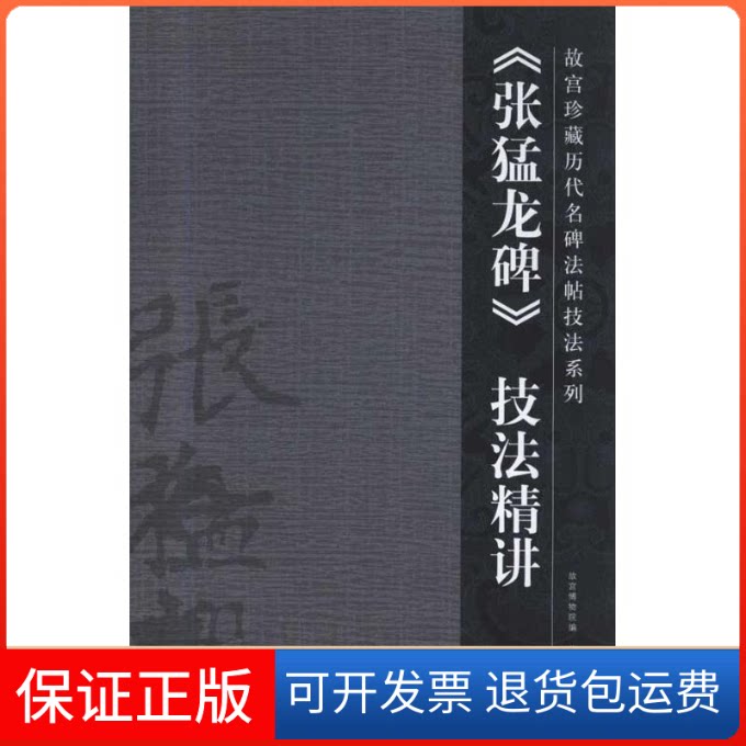 【保正版】《张猛龙碑》技法精讲陈津迪紫禁城出版社9787800479779