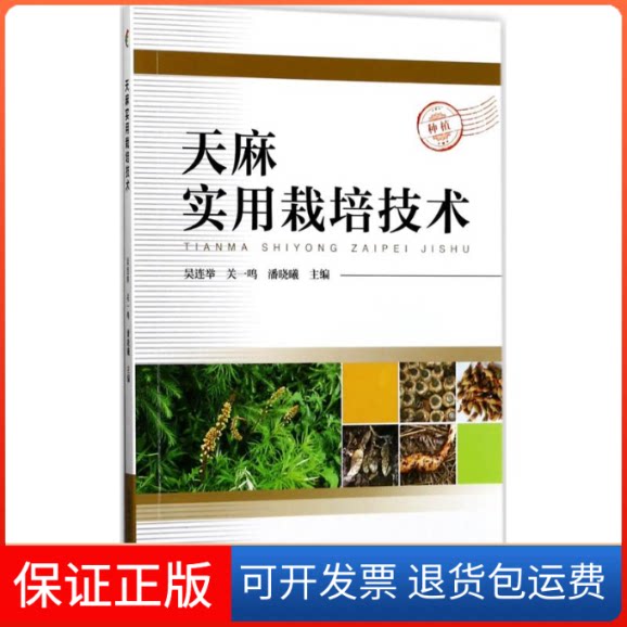 【保正版】天麻实用栽培技术吴连举,关一鸣,潘晓曦 主编中国科学技术出版社9787504674876