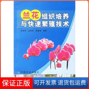 社 兰花组织培养与快速繁殖技术陈菁瑛蓝贺胜陈雄鹰中国农业出版 保正版