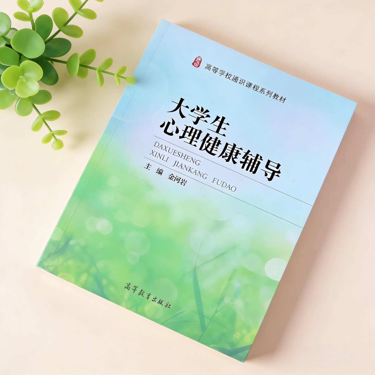 大学生心理健康辅导金河岩主编