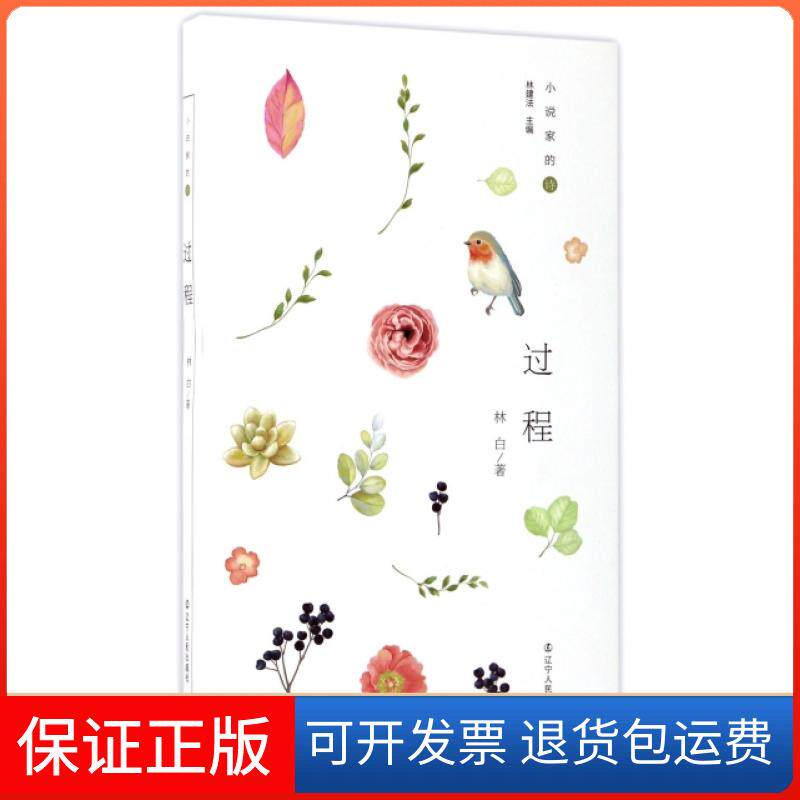 【保正版】过程/小说家的诗林白|总主编:林建法辽宁人民9787205088125
