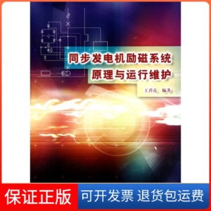 【保正版】同步发电机励磁系统原理与运行维护王君亮中国水利水电出版社9787508480565