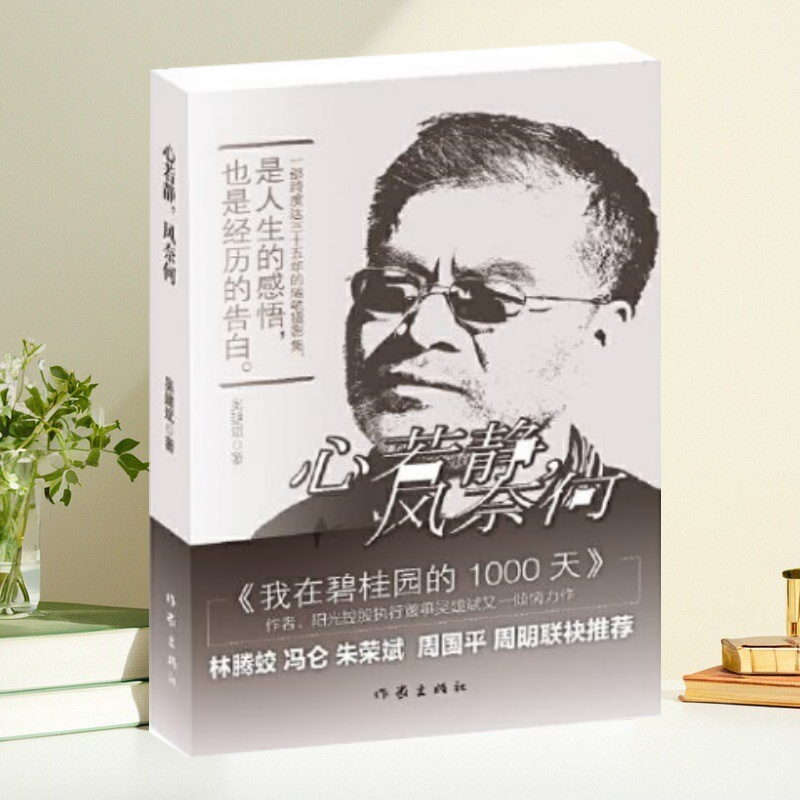 正版书】心若静风奈何 我在碧桂园的1000天阳光控股执行董事吴建斌又一倾情力作作家出版社9787521209174