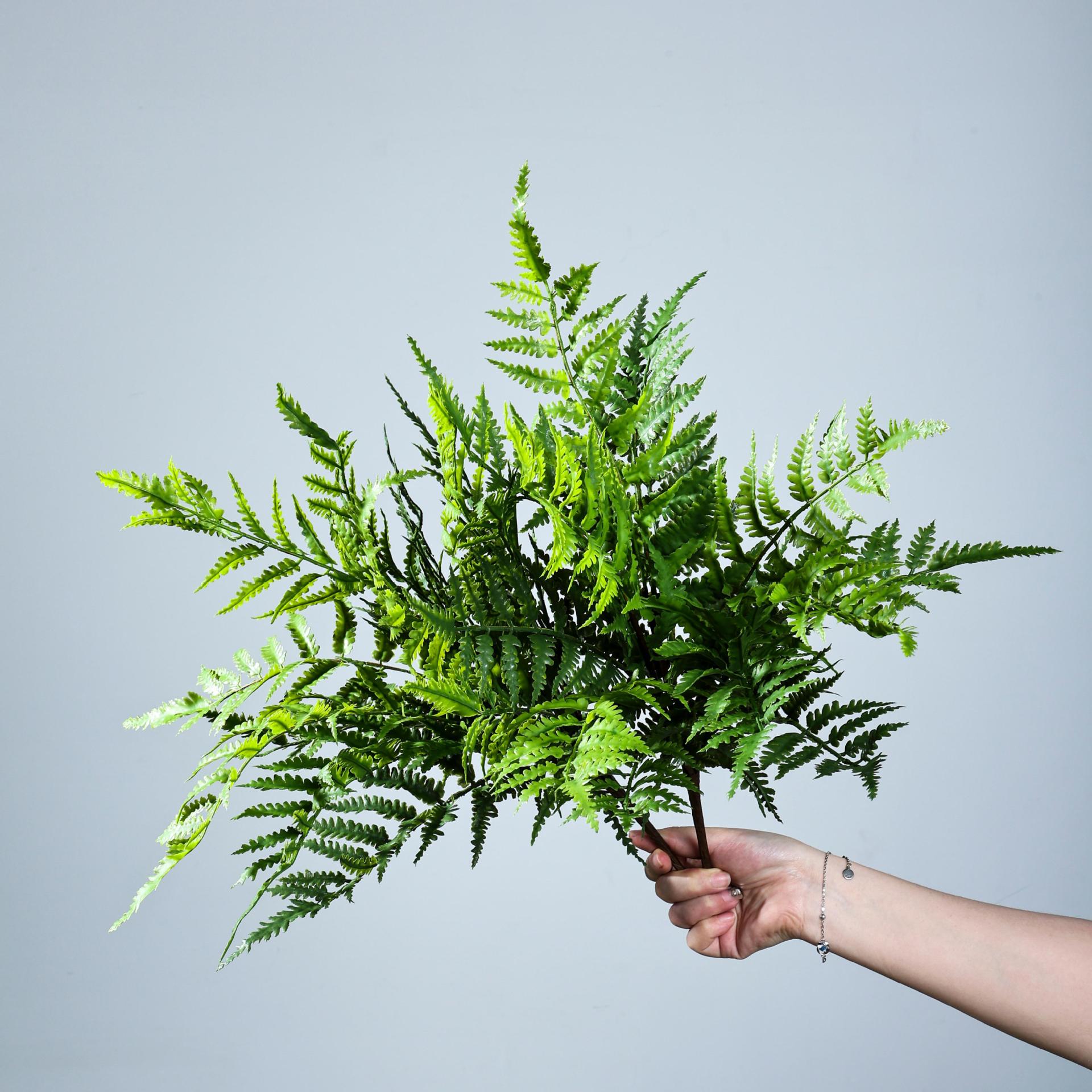 波斯蕨草仿真波斯蕨叶造景植物墙插花装饰蕨类绿植蹄盖蕨叶仿真草