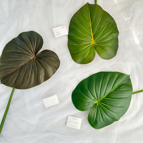 仿真假叶子手感叶网红叶热带雨林植物墙造景装饰绿植插花配材