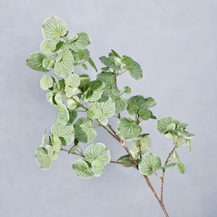 仿真海棠叶绿植树枝单支婚庆景观橱窗花艺装饰家居插花叶子跨境