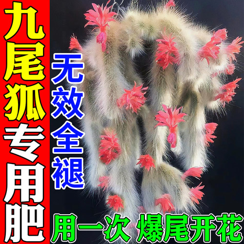 九尾狐专用肥土多肉爆芽素防治白粉烂根炭疽病氮磷钾复合营养肥料
