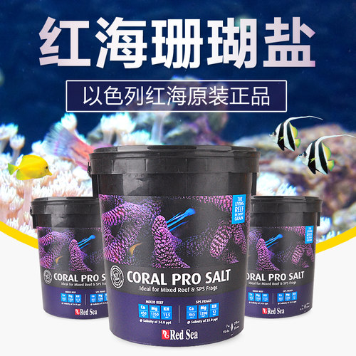 以色列红海高钙海水加强珊瑚盐