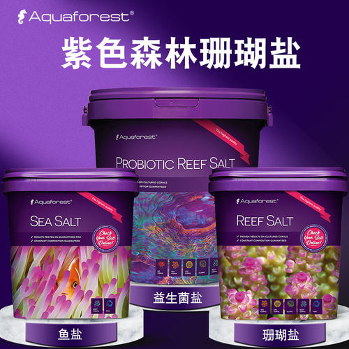 紫色森林珊瑚盐小丑盐
