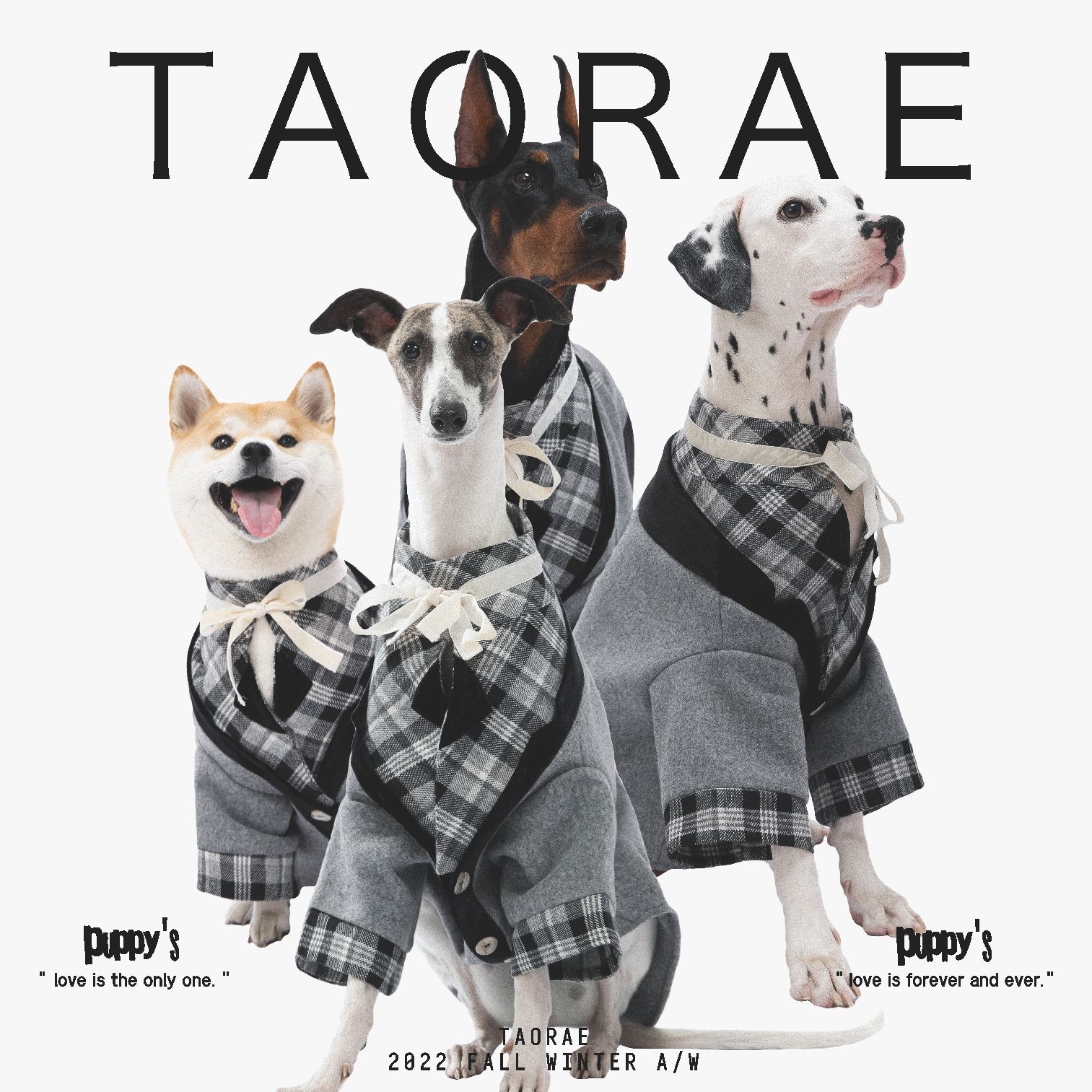 TAORAE中大型犬羊毛保暖狗狗西装