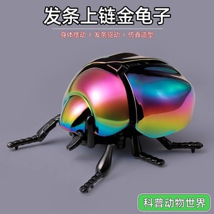 发条甲壳虫玩具儿童爬行上链爬虫男孩宝仿真昆虫会爬的金龟子模型