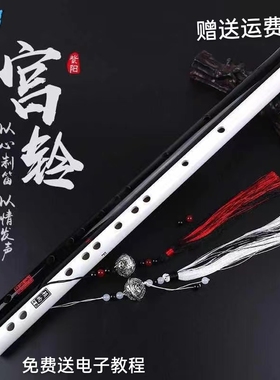 笛子玉笛古风白玉初学横笛乐笛男女乐器精致多色长笛竹笛精准苦竹