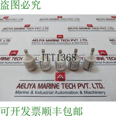 供应10X 批 Italweber D II-4A 500V 保险丝