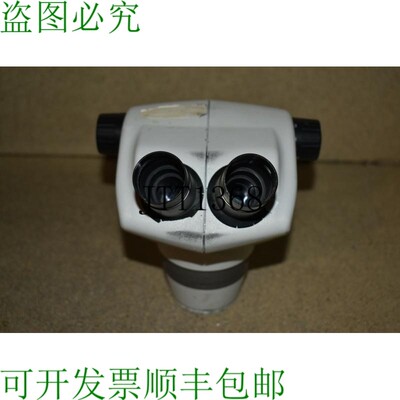 原装供应@@ SCIENSCOPE 团队负责人 WT38