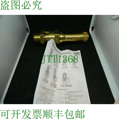 原装供应Riegler 229.03-4.0 阀门 G 1 面条安全响应压力 4bar 10
