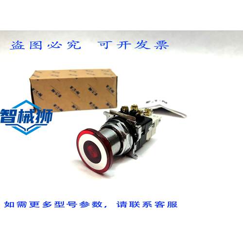 原装供应 进口 10250T1063C47-1X 瞬时操作开关 透镜按钮