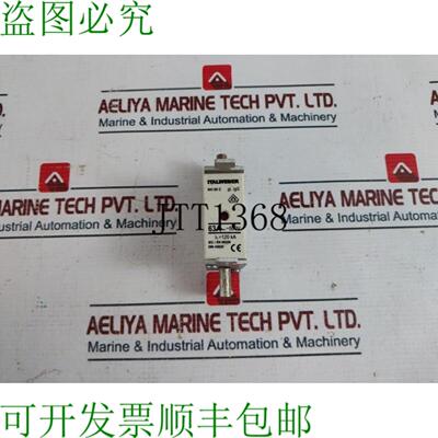 供应Italweber DIN 43620 电力保险丝 NH 00 C GLGG 63A500
