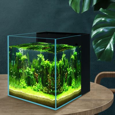 金晶超白背滤缸净水过滤客厅热带鱼小鱼缸办公室中小型生态原生缸