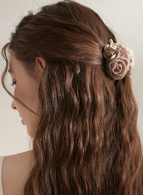 DAINEI岱妮摩登花语抓夹春夏新款小清新小号气质鲨鱼夹发夹发饰