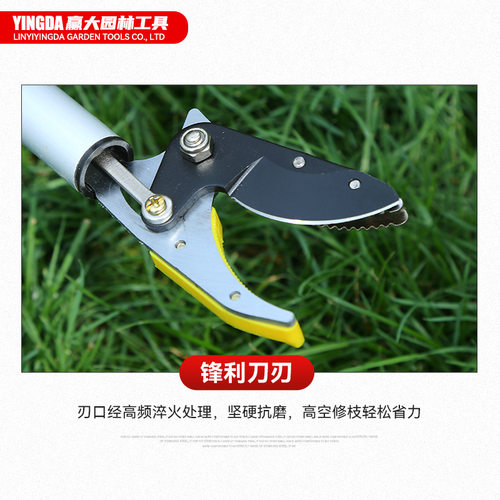 赢大剪花高空摘果器锯剪嫁接荔枝石榴锯木采果工具果树摘果