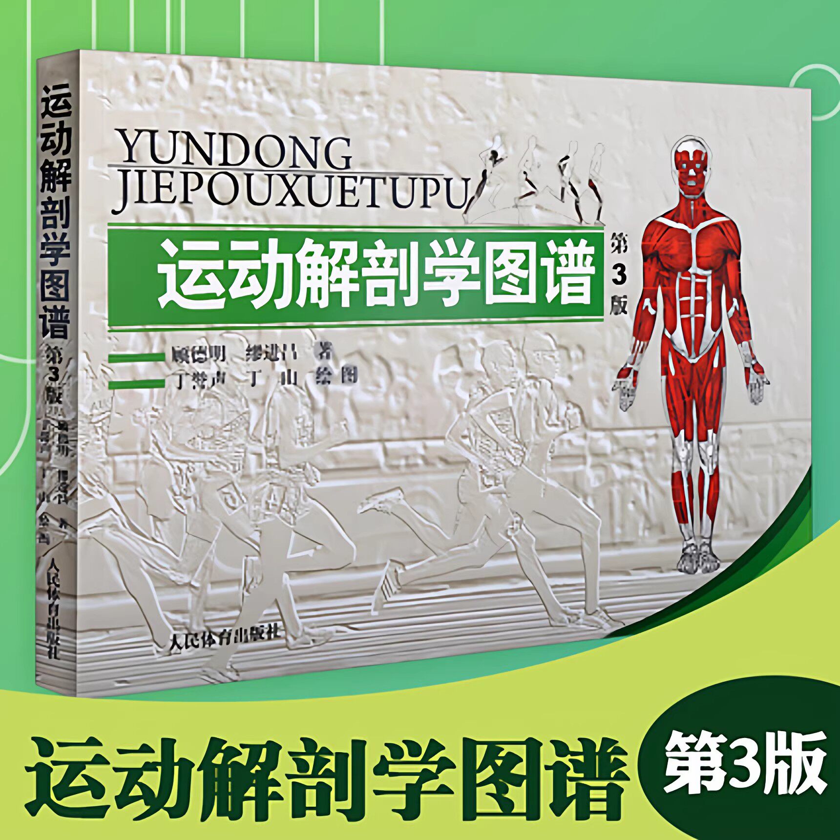 运动解剖学图谱 第3版 第三版 人民体育出版社运动解刨学运动医学书运动训练力量健身人体肌肉全面解剖图谱体育医学专业书籍