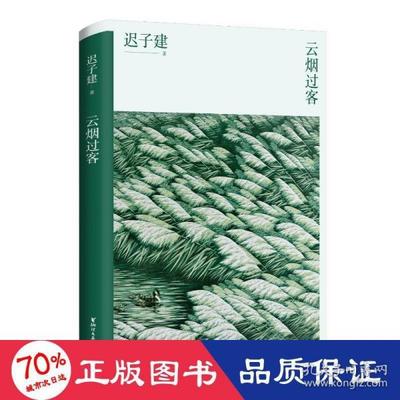 正版图书包邮 中国当代散文集：云烟过客迟子建9787533966690浙江文艺出版社