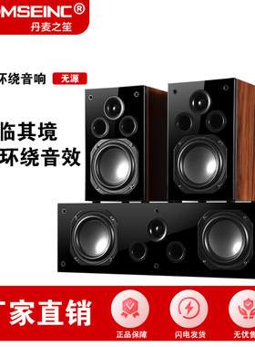 中置环绕音箱家庭影院丹麦之笙