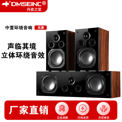中置环绕音箱家庭影院丹麦之笙