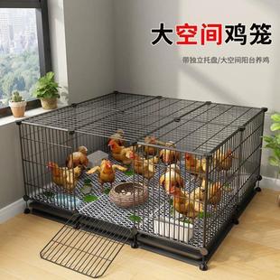 养鸡笼特大号鸡笼子家用自动清粪室外养殖笼鸡舍铁丝网大号鸭鹅笼