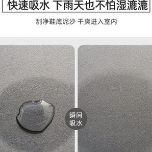 入户门地垫家用进门防滑脚垫玄关耐脏软垫简约加厚大门口免洗垫子