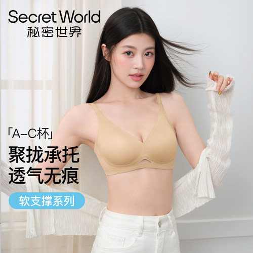 SecretWorld内衣女聚拢小胸隐形