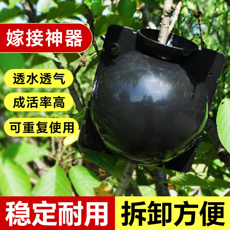 植物高压盒 繁殖盒 扦插嫁接生根器繁殖球园林园艺果树压枝高压盒,鲜花速递/花卉仿真/绿植园艺,其它园艺用品,淘宝优惠券,粉丝福利购,淘宝优惠卷