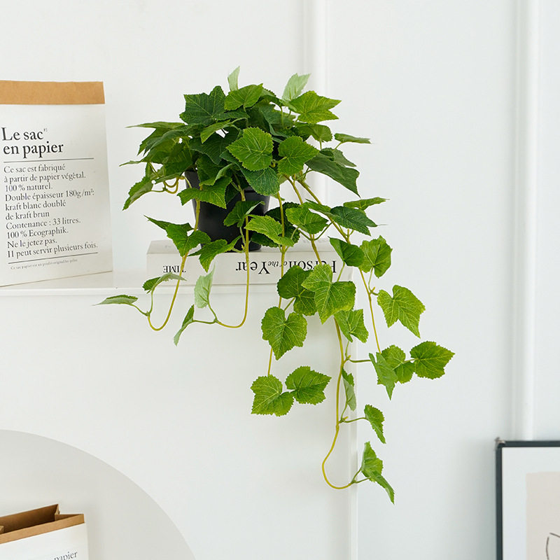 仿真亚马逊绿植盆栽组合 北欧风家居装饰壁橱悬挂盆栽垂条绿植,家居饰品,仿真花/假花,淘宝优惠券,粉丝福利购,淘宝优惠卷