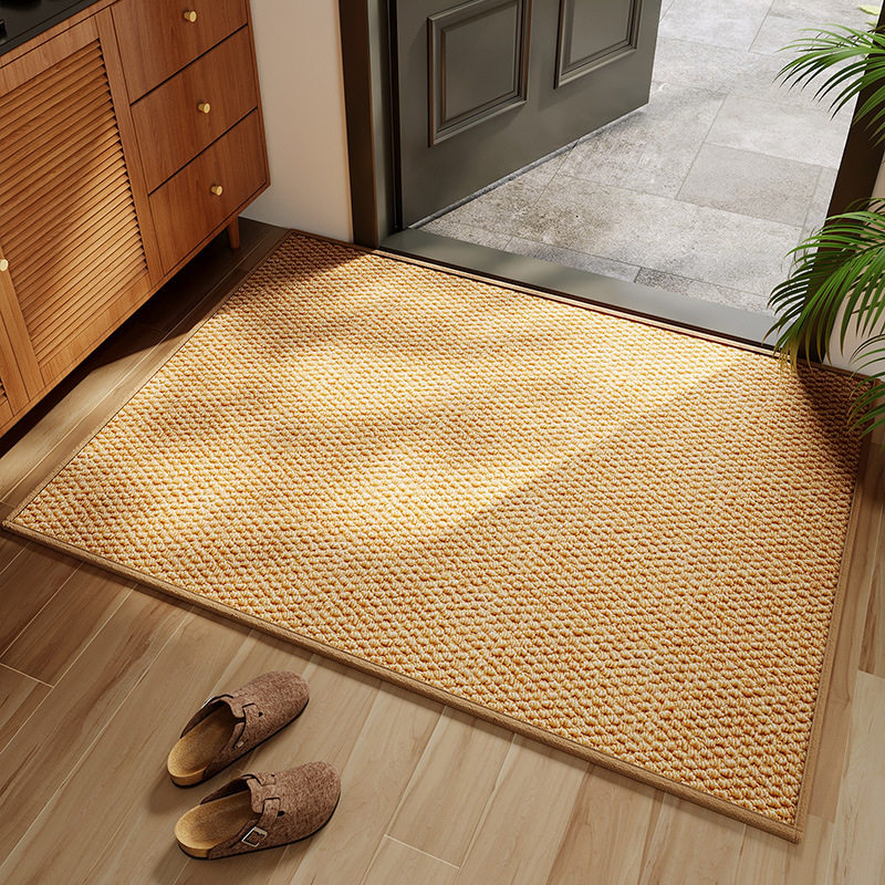 入户门地垫2025新款进门脚垫家用玄关门口防滑垫耐磨可定制门垫子,生活电器,吸尘器,淘宝优惠券,粉丝福利购,淘宝优惠卷